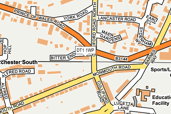 DT1 1WP map - OS OpenMap – Local (Ordnance Survey)