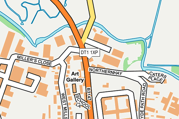 DT1 1XP map - OS OpenMap – Local (Ordnance Survey)