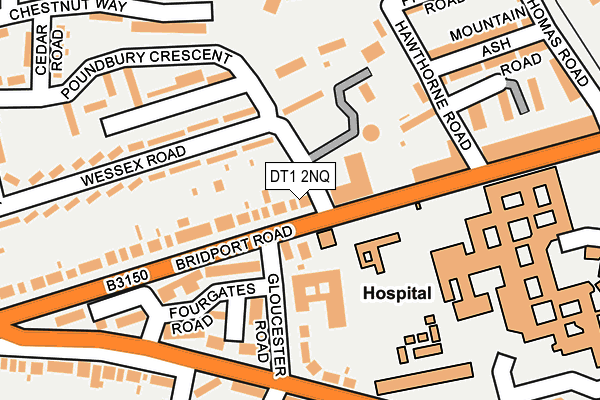 DT1 2NQ map - OS OpenMap – Local (Ordnance Survey)