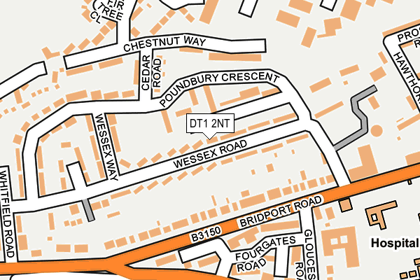 DT1 2NT map - OS OpenMap – Local (Ordnance Survey)