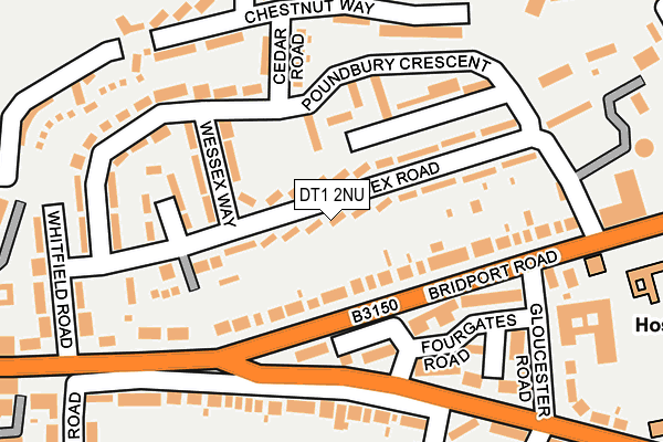 DT1 2NU map - OS OpenMap – Local (Ordnance Survey)