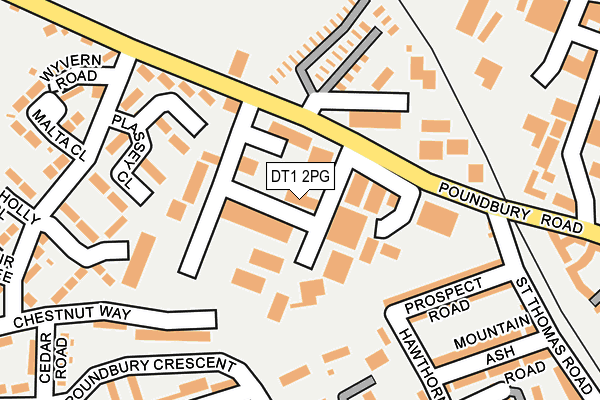 DT1 2PG map - OS OpenMap – Local (Ordnance Survey)