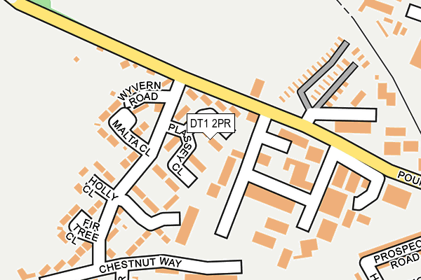 DT1 2PR map - OS OpenMap – Local (Ordnance Survey)