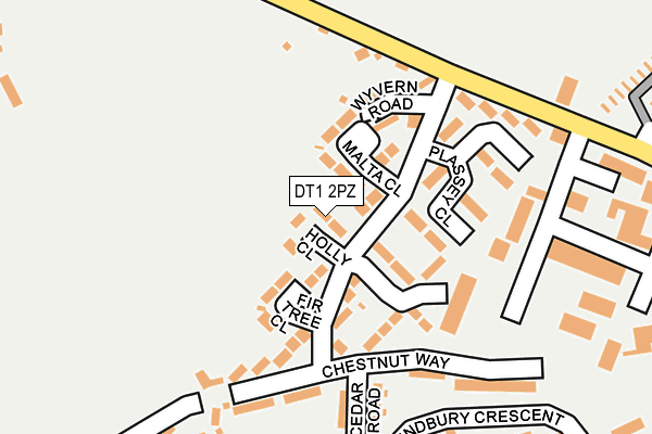 DT1 2PZ map - OS OpenMap – Local (Ordnance Survey)