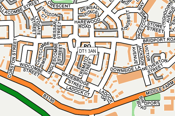 DT1 3AN map - OS OpenMap – Local (Ordnance Survey)