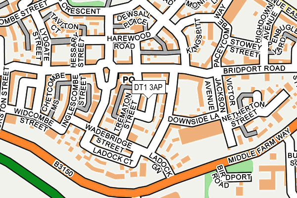 DT1 3AP map - OS OpenMap – Local (Ordnance Survey)
