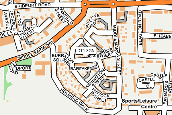 DT1 3GN map - OS OpenMap – Local (Ordnance Survey)