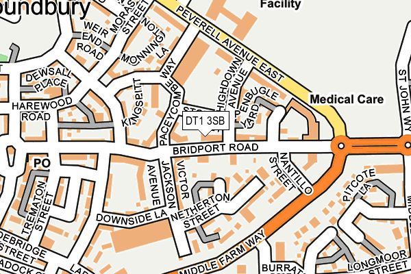DT1 3SB map - OS OpenMap – Local (Ordnance Survey)