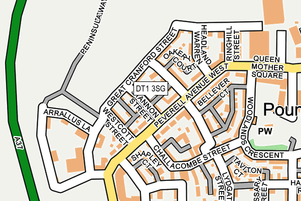 DT1 3SG map - OS OpenMap – Local (Ordnance Survey)