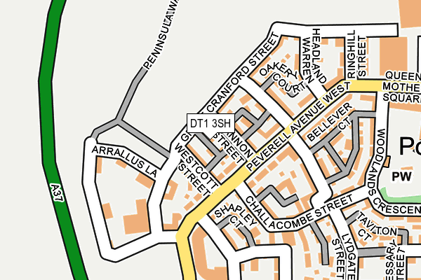 DT1 3SH map - OS OpenMap – Local (Ordnance Survey)
