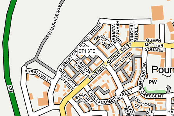 DT1 3TE map - OS OpenMap – Local (Ordnance Survey)