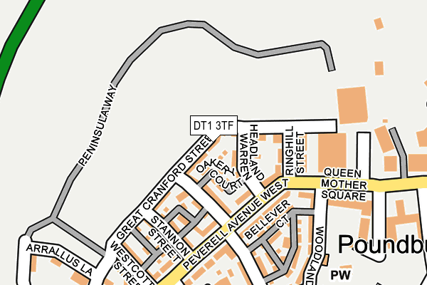 DT1 3TF map - OS OpenMap – Local (Ordnance Survey)