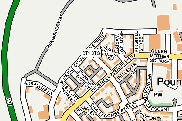 DT1 3TG map - OS OpenMap – Local (Ordnance Survey)