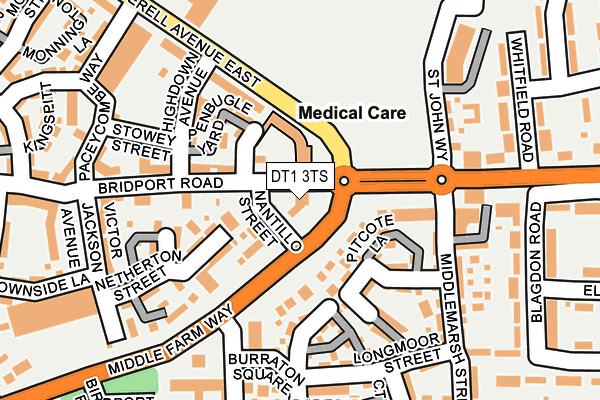 DT1 3TS map - OS OpenMap – Local (Ordnance Survey)
