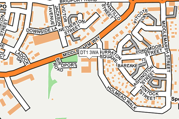 DT1 3WA map - OS OpenMap – Local (Ordnance Survey)