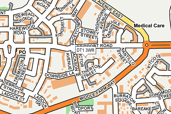 DT1 3WR map - OS OpenMap – Local (Ordnance Survey)