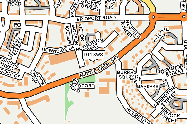 DT1 3WS map - OS OpenMap – Local (Ordnance Survey)
