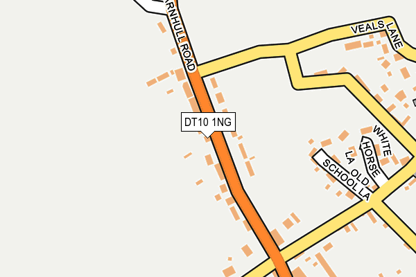 DT10 1NG map - OS OpenMap – Local (Ordnance Survey)