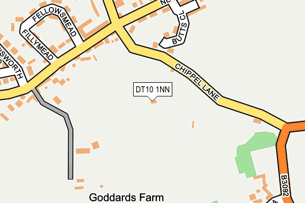DT10 1NN map - OS OpenMap – Local (Ordnance Survey)
