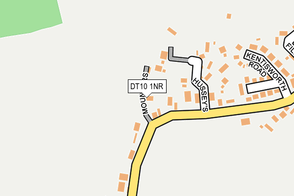 DT10 1NR map - OS OpenMap – Local (Ordnance Survey)