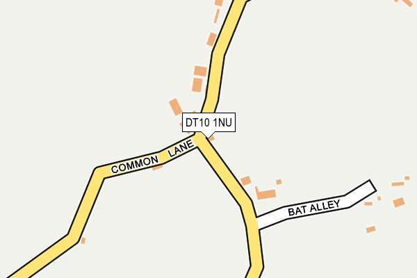 DT10 1NU map - OS OpenMap – Local (Ordnance Survey)