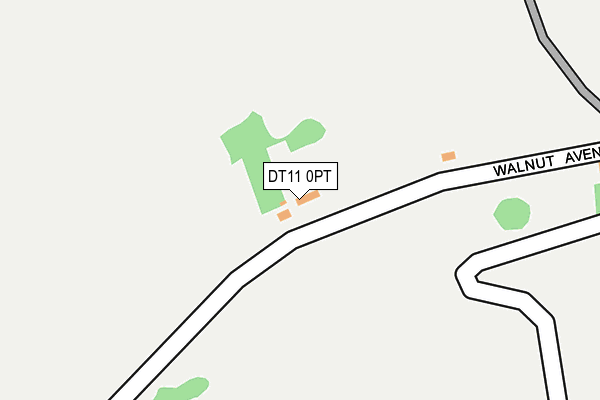DT11 0PT map - OS OpenMap – Local (Ordnance Survey)