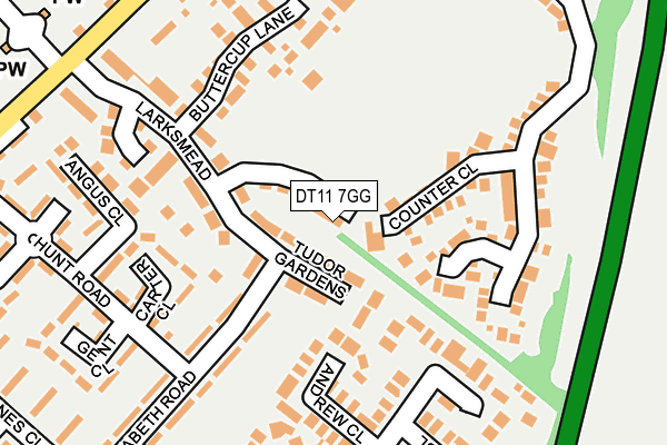 DT11 7GG map - OS OpenMap – Local (Ordnance Survey)