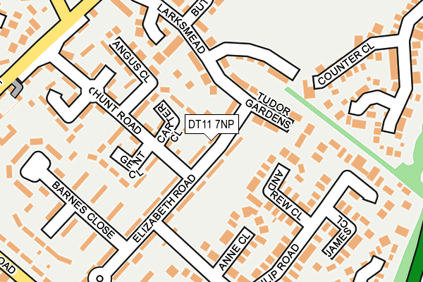 DT11 7NP map - OS OpenMap – Local (Ordnance Survey)