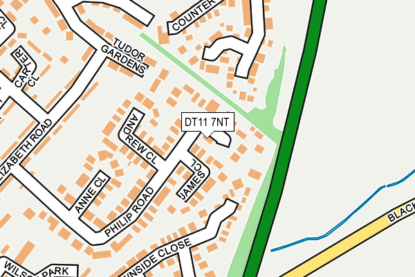DT11 7NT map - OS OpenMap – Local (Ordnance Survey)