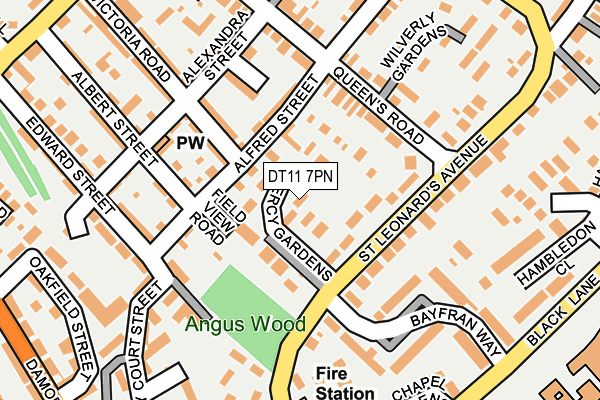 DT11 7PN map - OS OpenMap – Local (Ordnance Survey)