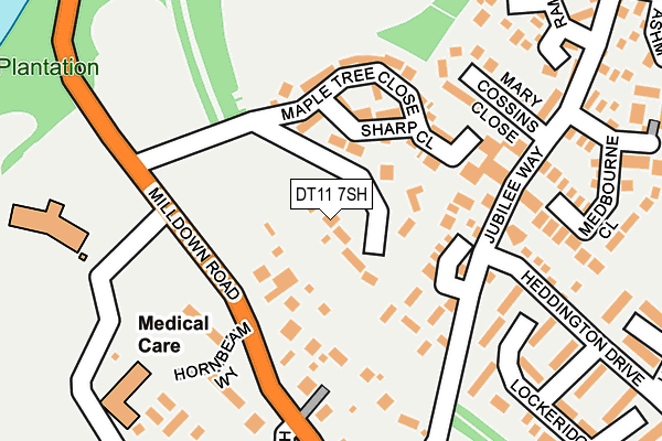 DT11 7SH map - OS OpenMap – Local (Ordnance Survey)