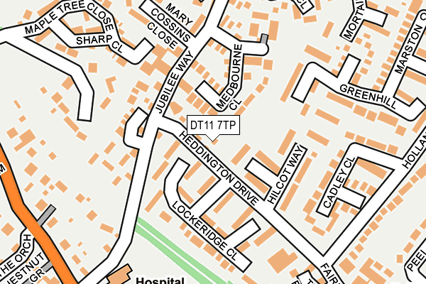 DT11 7TP map - OS OpenMap – Local (Ordnance Survey)