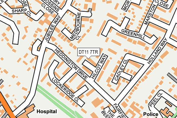 DT11 7TR map - OS OpenMap – Local (Ordnance Survey)