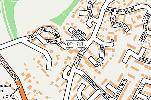 DT11 7UT map - OS OpenMap – Local (Ordnance Survey)