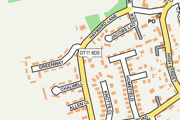 DT11 8DS map - OS OpenMap – Local (Ordnance Survey)