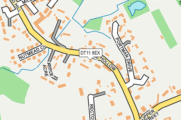 DT11 8EX map - OS OpenMap – Local (Ordnance Survey)