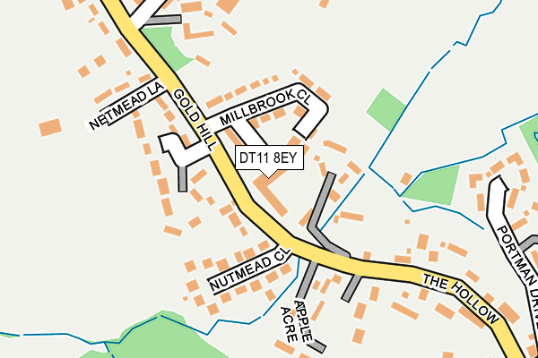 DT11 8EY map - OS OpenMap – Local (Ordnance Survey)