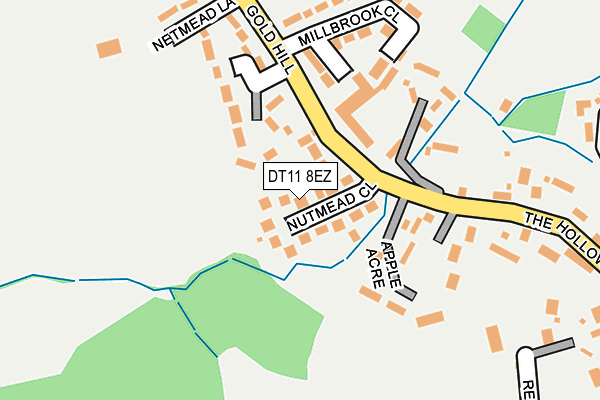 DT11 8EZ map - OS OpenMap – Local (Ordnance Survey)