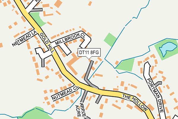 DT11 8FG map - OS OpenMap – Local (Ordnance Survey)