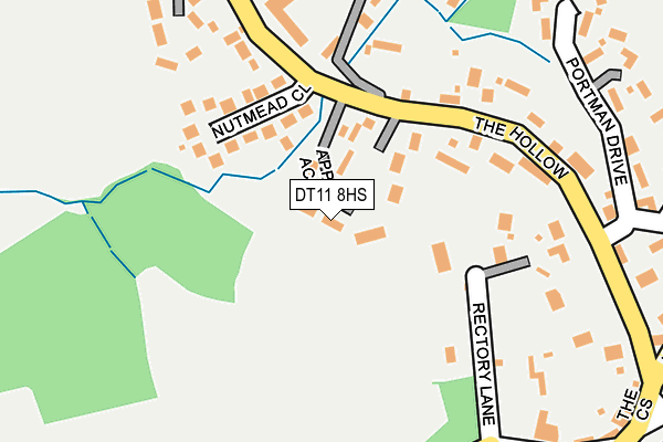 DT11 8HS map - OS OpenMap – Local (Ordnance Survey)