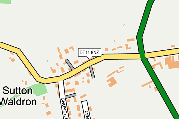 DT11 8NZ map - OS OpenMap – Local (Ordnance Survey)