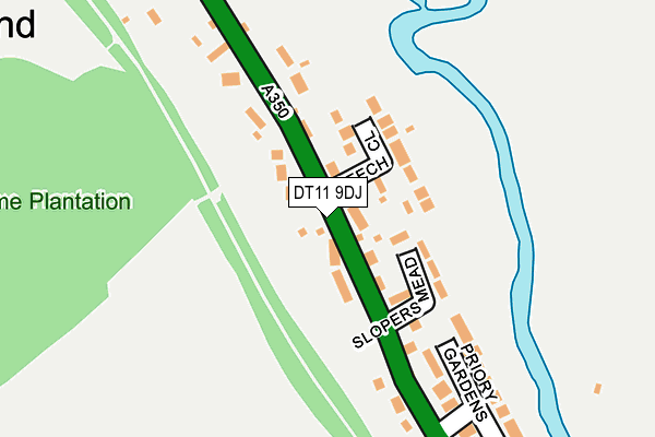 DT11 9DJ map - OS OpenMap – Local (Ordnance Survey)