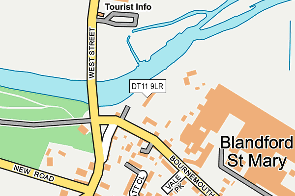 DT11 9LR map - OS OpenMap – Local (Ordnance Survey)