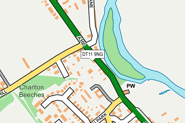 DT11 9NG map - OS OpenMap – Local (Ordnance Survey)