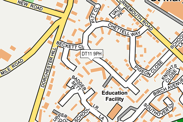 DT11 9PH map - OS OpenMap – Local (Ordnance Survey)