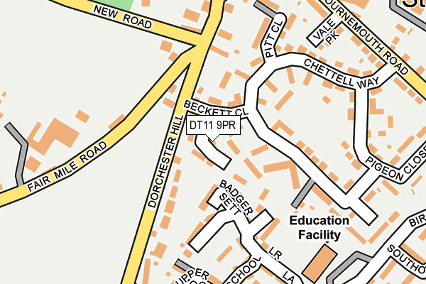 DT11 9PR map - OS OpenMap – Local (Ordnance Survey)