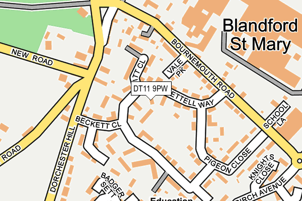 DT11 9PW map - OS OpenMap – Local (Ordnance Survey)