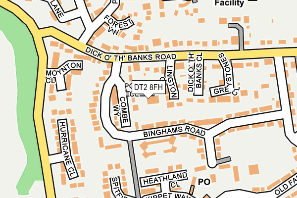 DT2 8FH map - OS OpenMap – Local (Ordnance Survey)