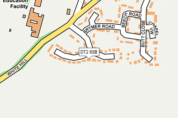 DT2 8SB map - OS OpenMap – Local (Ordnance Survey)