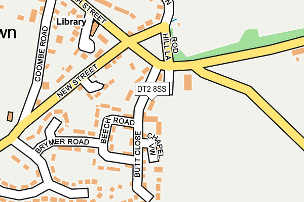 DT2 8SS map - OS OpenMap – Local (Ordnance Survey)